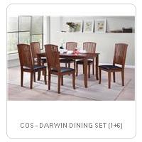 COS - DARWIN DINING SET (1+6)